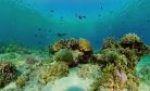 Is China Committing Environmental Crimes in the South China Sea? Is China Committing Environmental Crimes in the South China Sea?