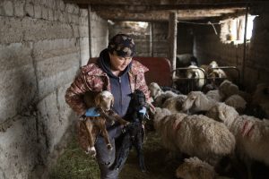 A Guardian of Health in the Mountains of Kyrgyzstan A Guardian of Health in the Mountains of Kyrgyzstan