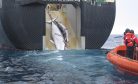 For Japan, Whaling Is Intertwined With Maritime Sovereignty For Japan, Whaling Is Intertwined With Maritime Sovereignty
