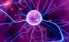 2025: What to Expect in the Asia-Pacific 2025: What to Expect in the Asia-Pacific