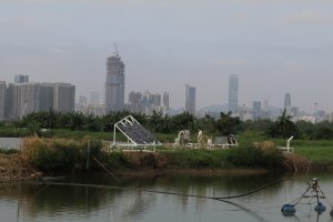 Amid Environmental Concerns, Hong Kong’s ‘Silicon Valley’ Project Presses Ahead